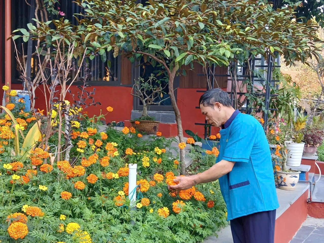 Catba Papillon Garden Bungalows & Resort Hien Hao Bagian luar foto