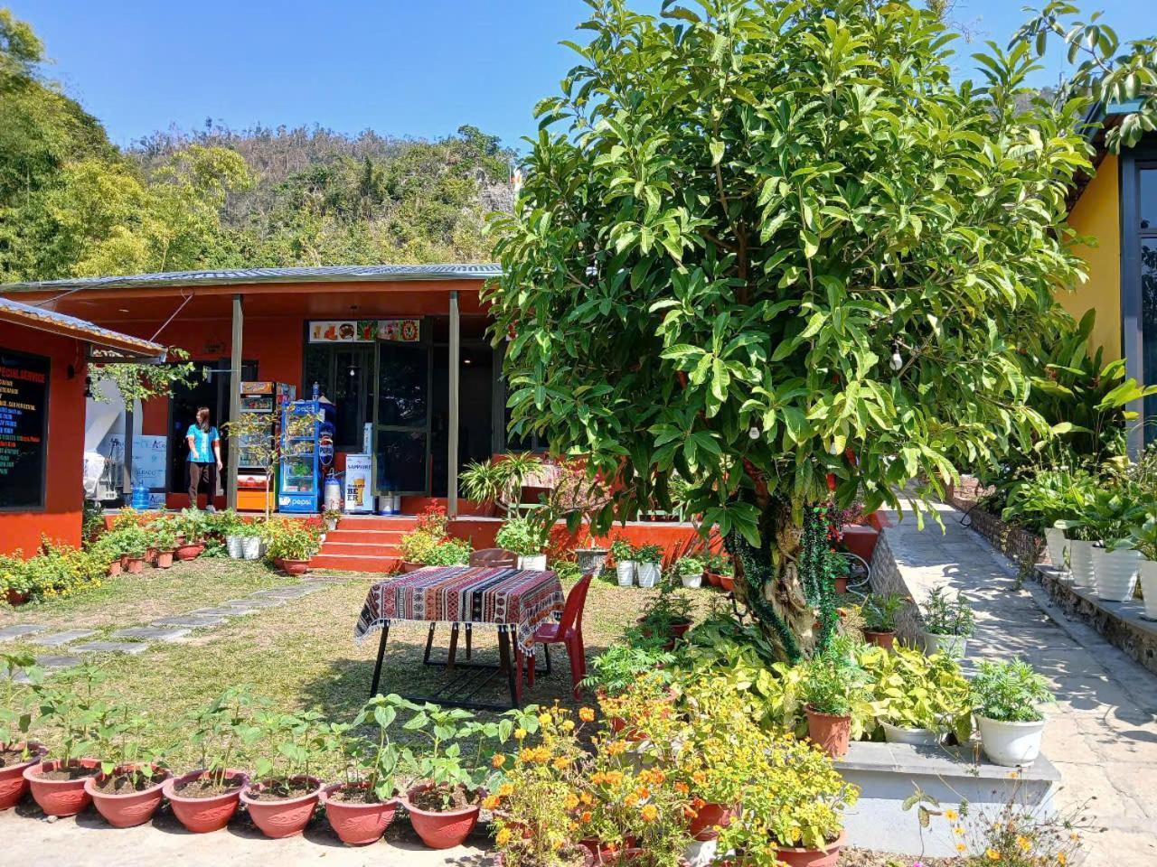 Catba Papillon Garden Bungalows & Resort Hien Hao Bagian luar foto