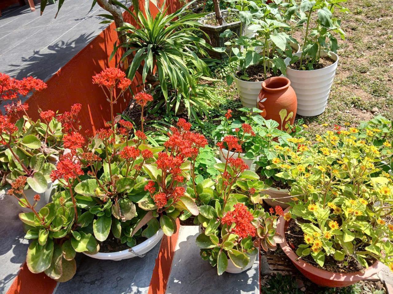 Catba Papillon Garden Bungalows & Resort Hien Hao Bagian luar foto