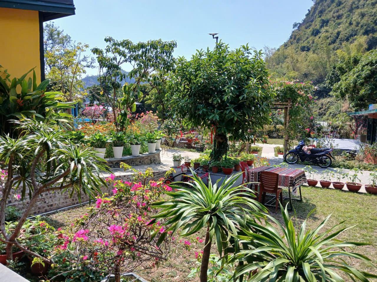 Catba Papillon Garden Bungalows & Resort Hien Hao Bagian luar foto