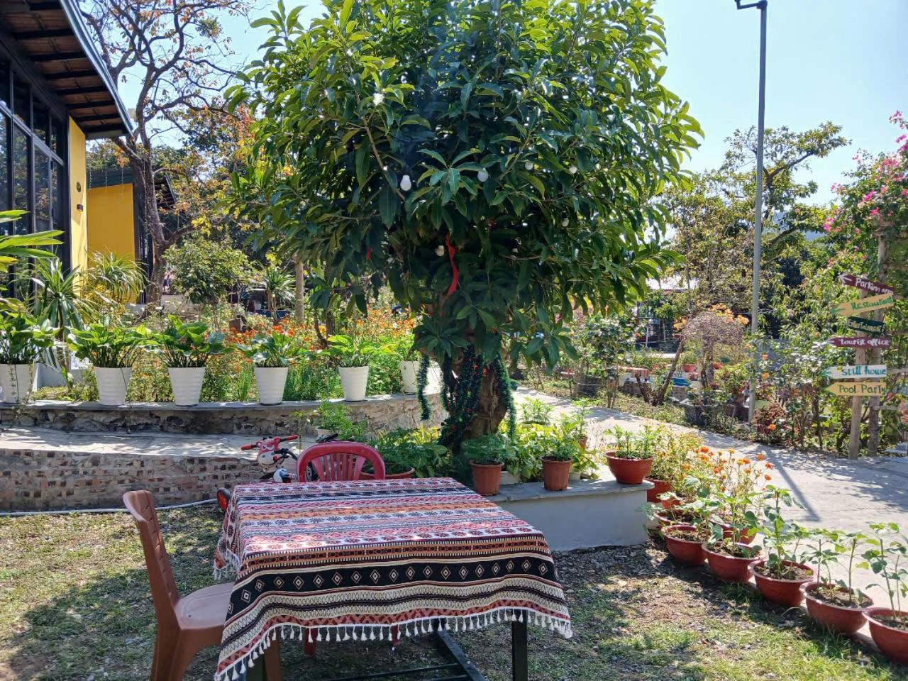 Catba Papillon Garden Bungalows & Resort Hien Hao Bagian luar foto