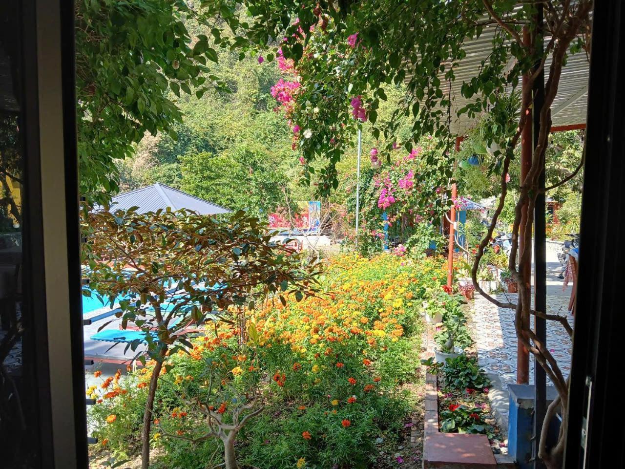 Catba Papillon Garden Bungalows & Resort Hien Hao Bagian luar foto