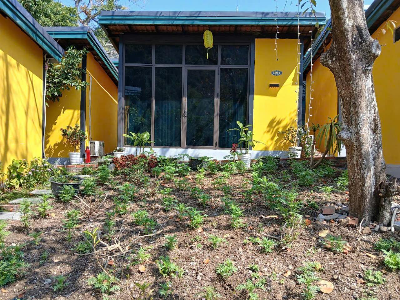 Catba Papillon Garden Bungalows & Resort Hien Hao Bagian luar foto