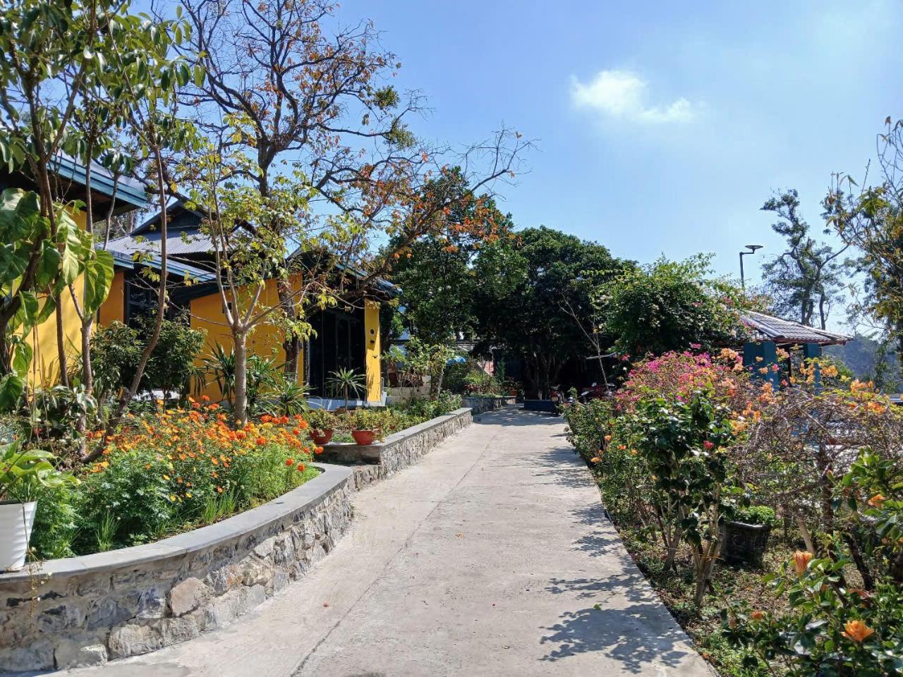 Catba Papillon Garden Bungalows & Resort Hien Hao Bagian luar foto