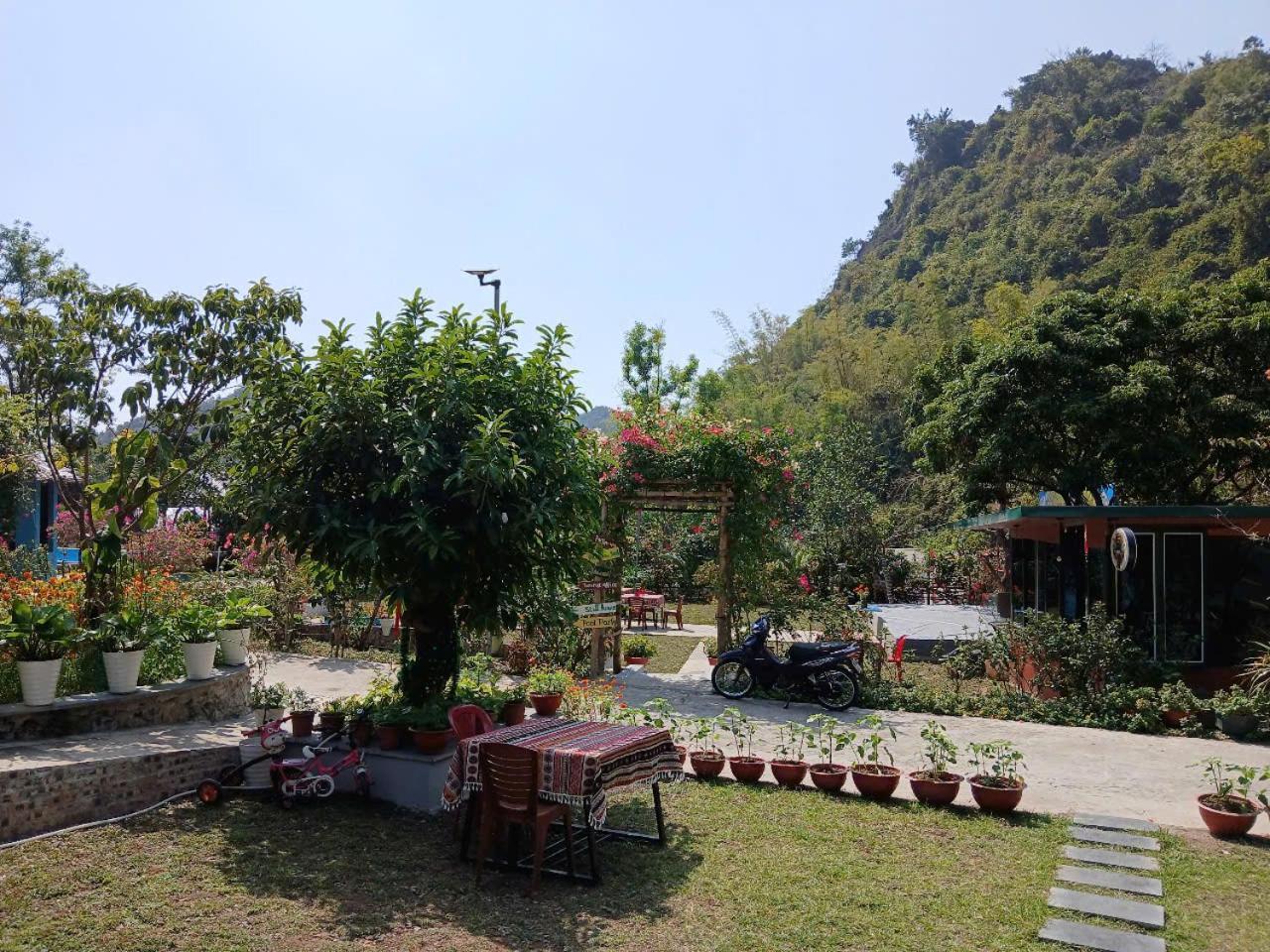 Catba Papillon Garden Bungalows & Resort Hien Hao Bagian luar foto